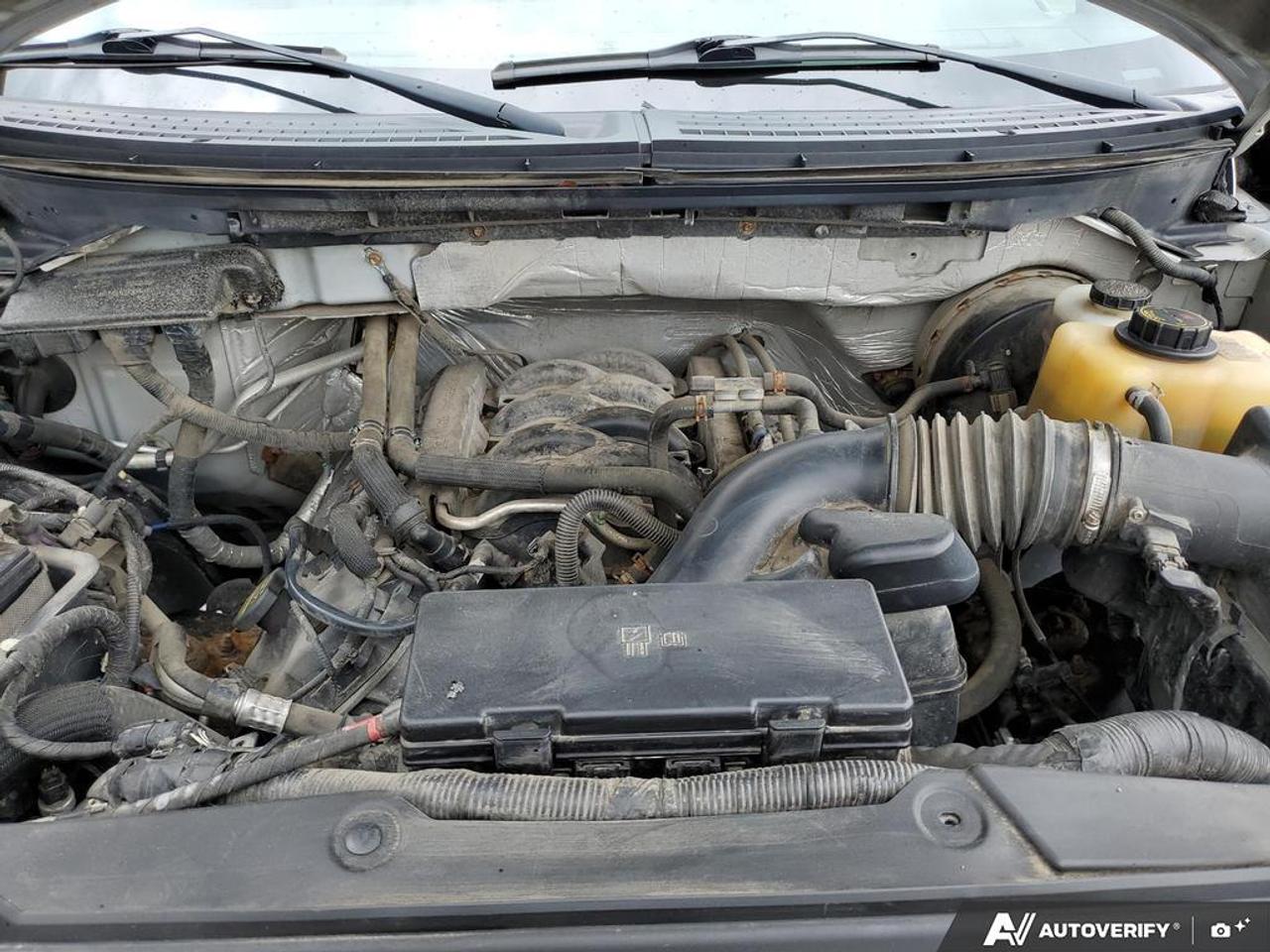 2012 Ford F-150 XL Photo