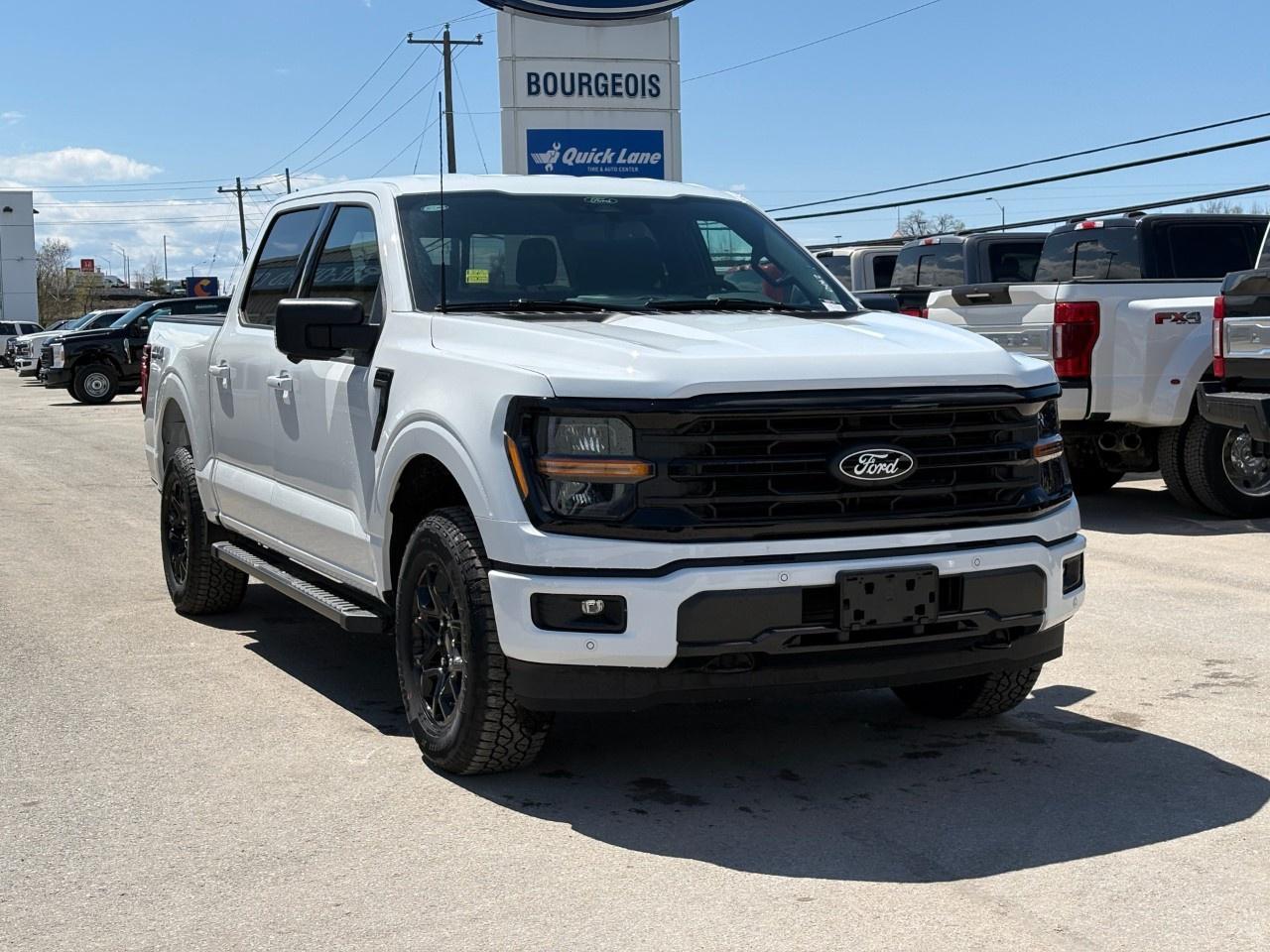 2026 Ford F-150 XLT 4WD SuperCrew 5.5' Box Photo3