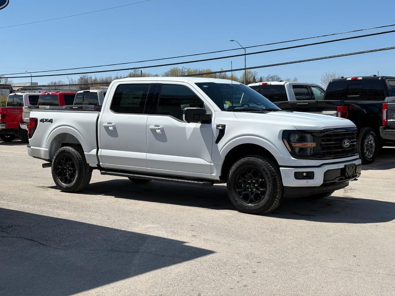 2026 Ford F-150 XLT 4WD SuperCrew 5.5' Box Photo4