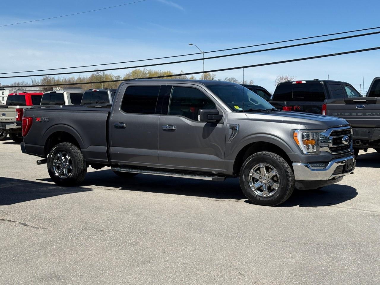 2022 Ford F-150 XLT 4WD SuperCrew 6.5' Box Photo