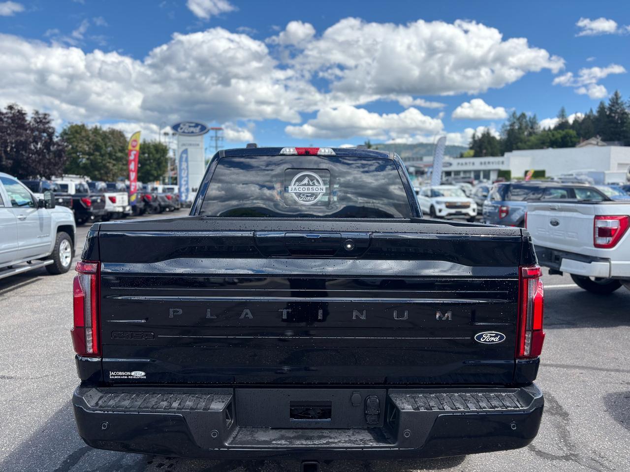 2026 Ford F-150 Platinum Photo3