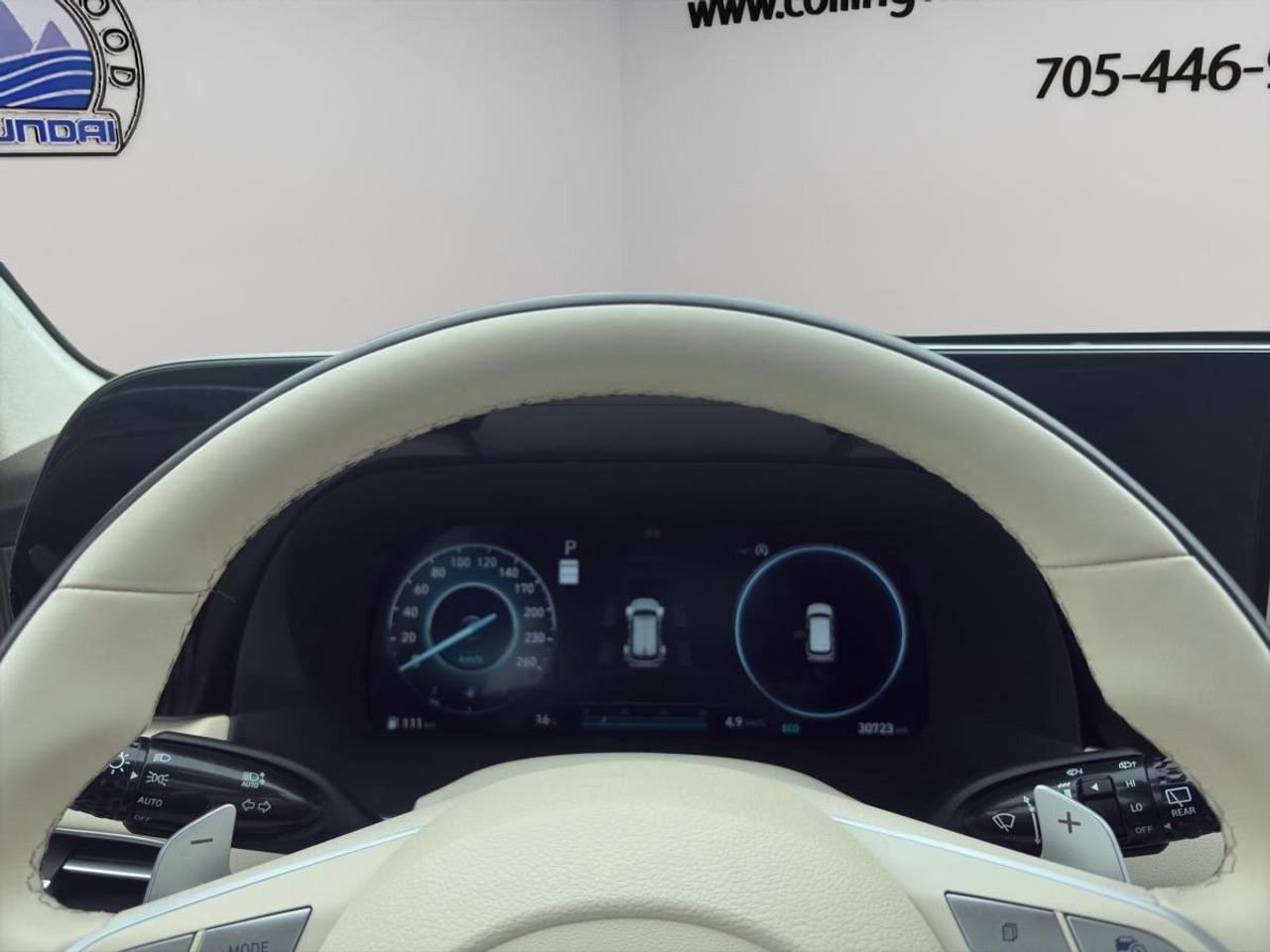 2024 Hyundai PALISADE Ultimate Calligraphy Photo