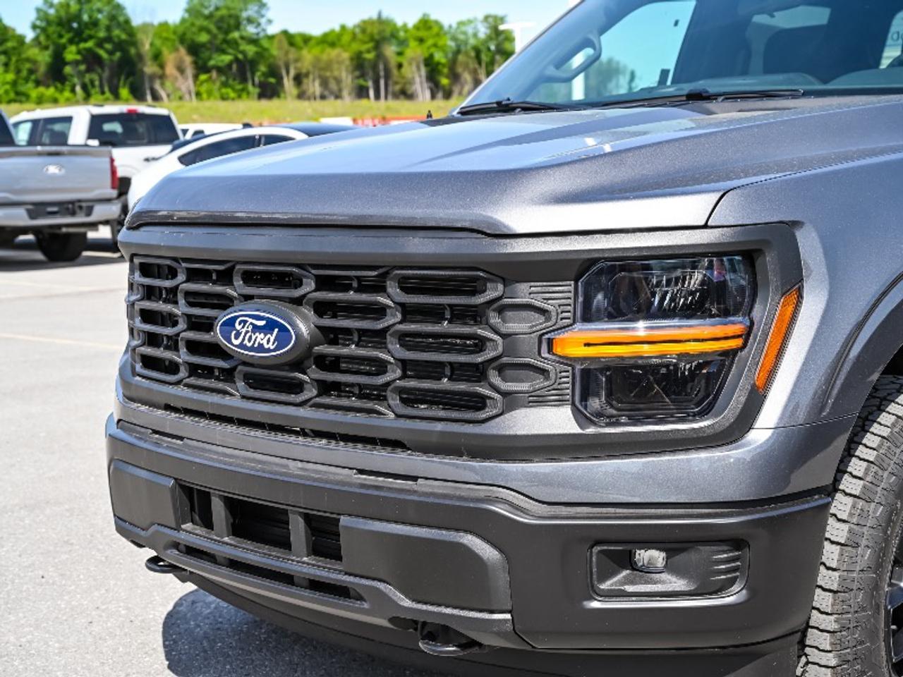 2026 Ford F-150 STX Photo