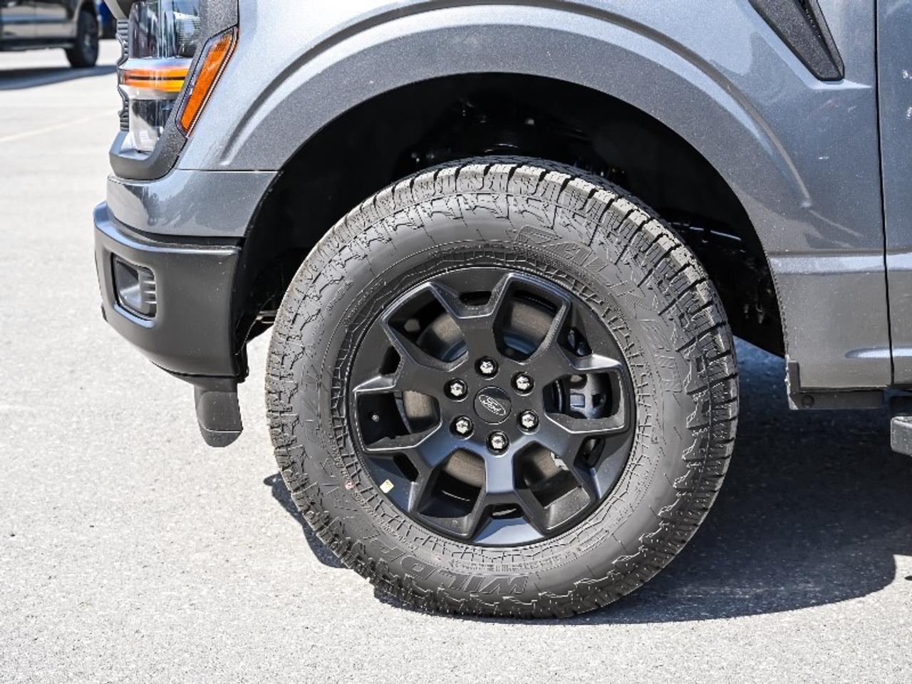 2026 Ford F-150 STX Photo