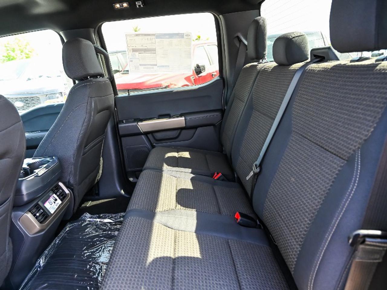 2026 Ford F-150 STX Photo