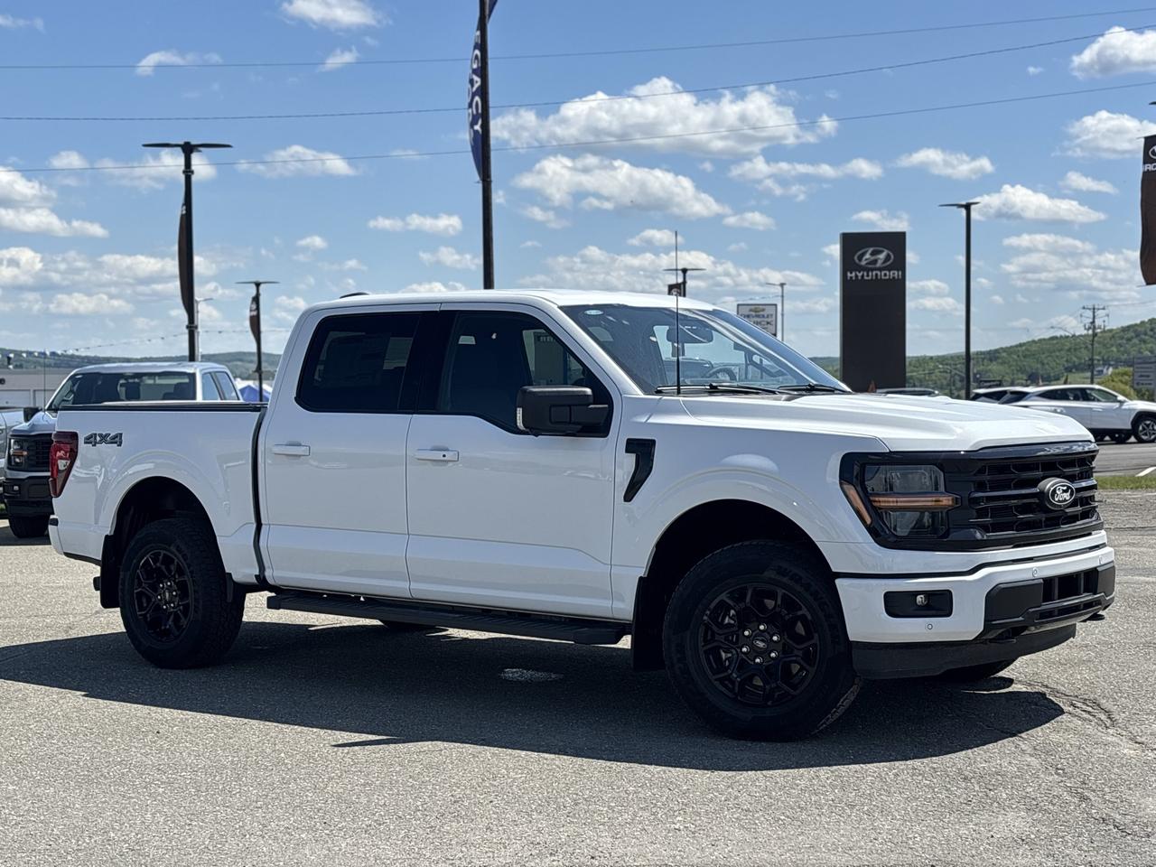 2026 Ford F-150 XLT 4WD SuperCrew 5.5' Box Photo0