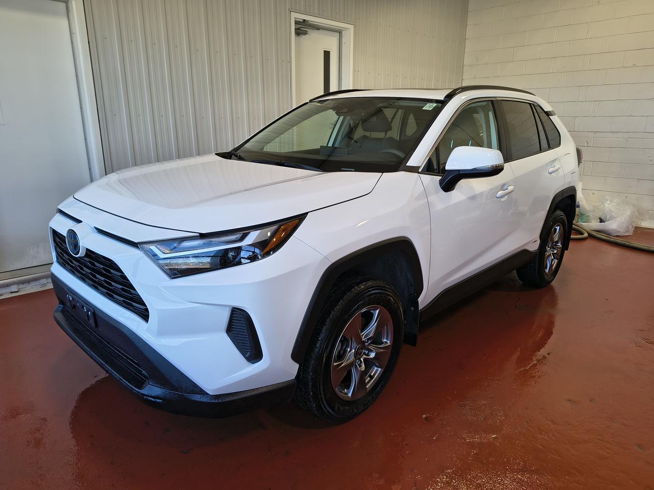 2023 Toyota RAV4 Hybrid XLE Photo0