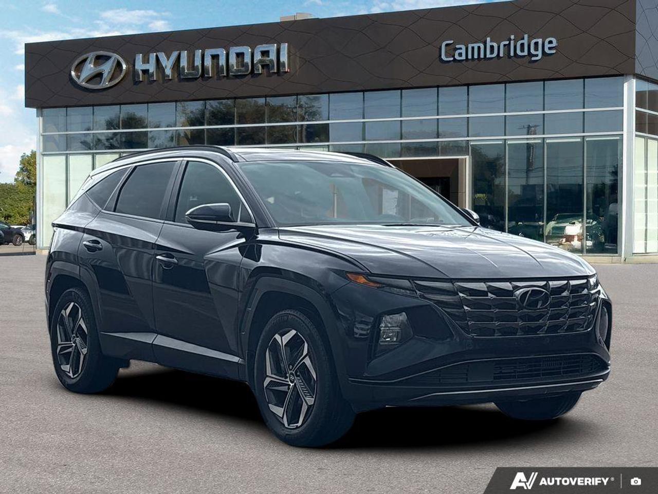 2023 Hyundai Tucson Hybrid Luxury   NO ACCIDENTS   BOSE LEATHER   6.3L/100KM Photo