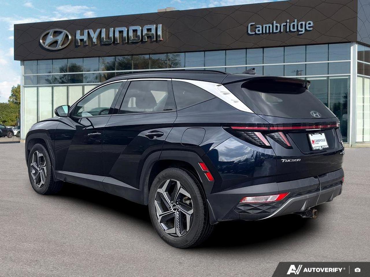 2023 Hyundai Tucson Hybrid Hybrid Luxury   NO ACCIDENTS   BOSE   6.3L/100KM Photo4