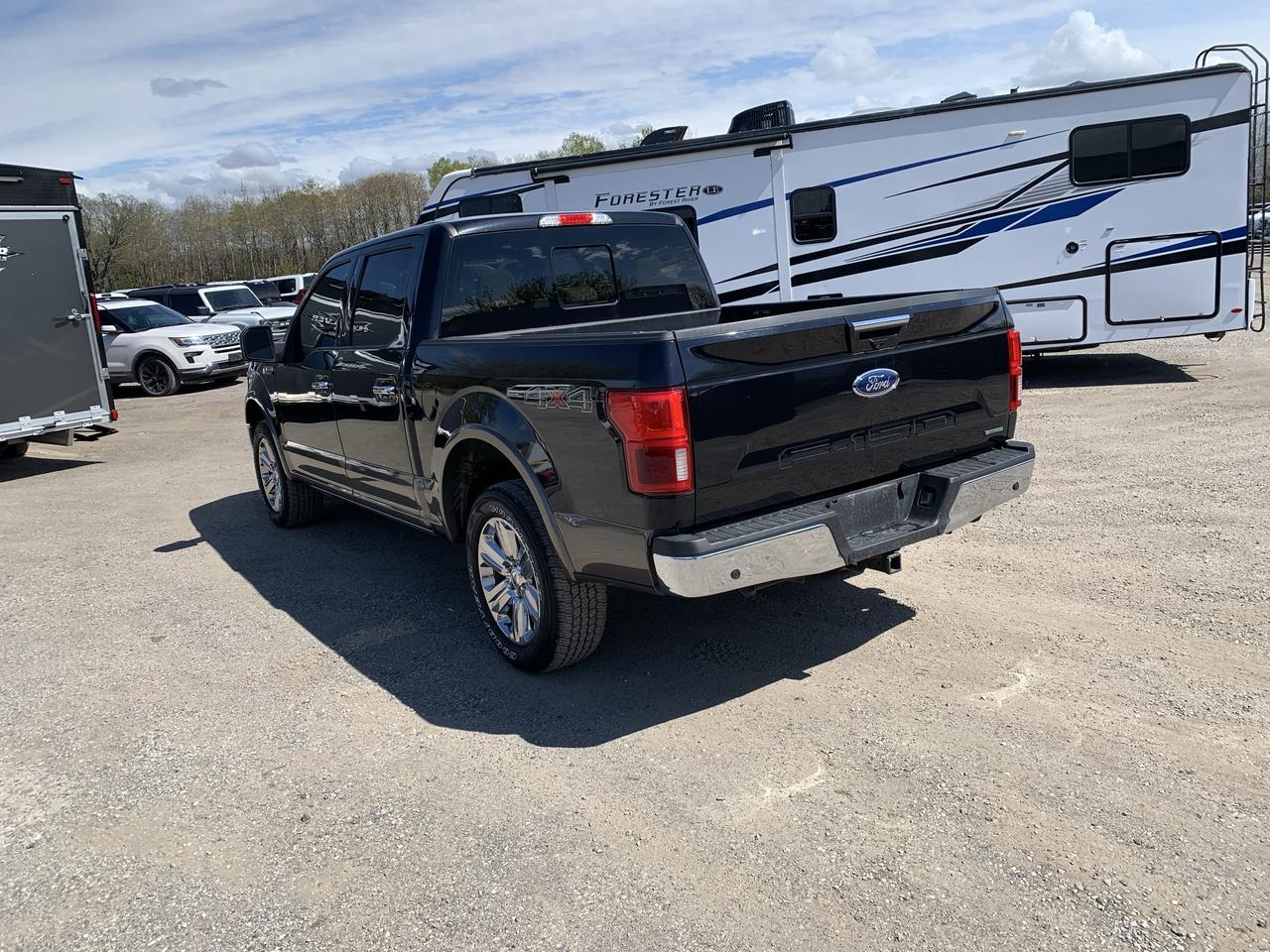 2020 Ford F-150  Photo