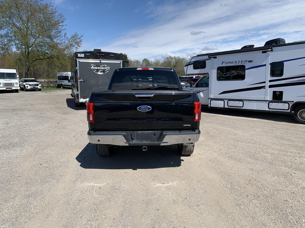 2020 Ford F-150  Photo