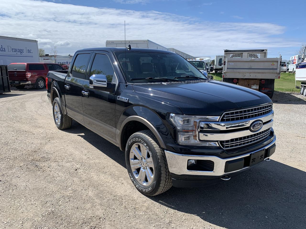 2020 Ford F-150  Photo