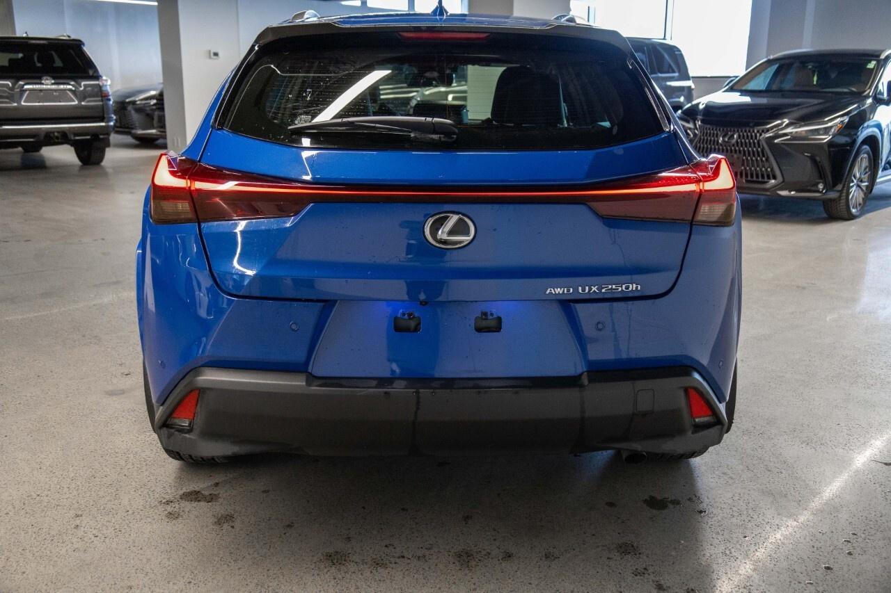 2024 Lexus UX Luxury Pkg Lexus Certified Welcome Trades Photo