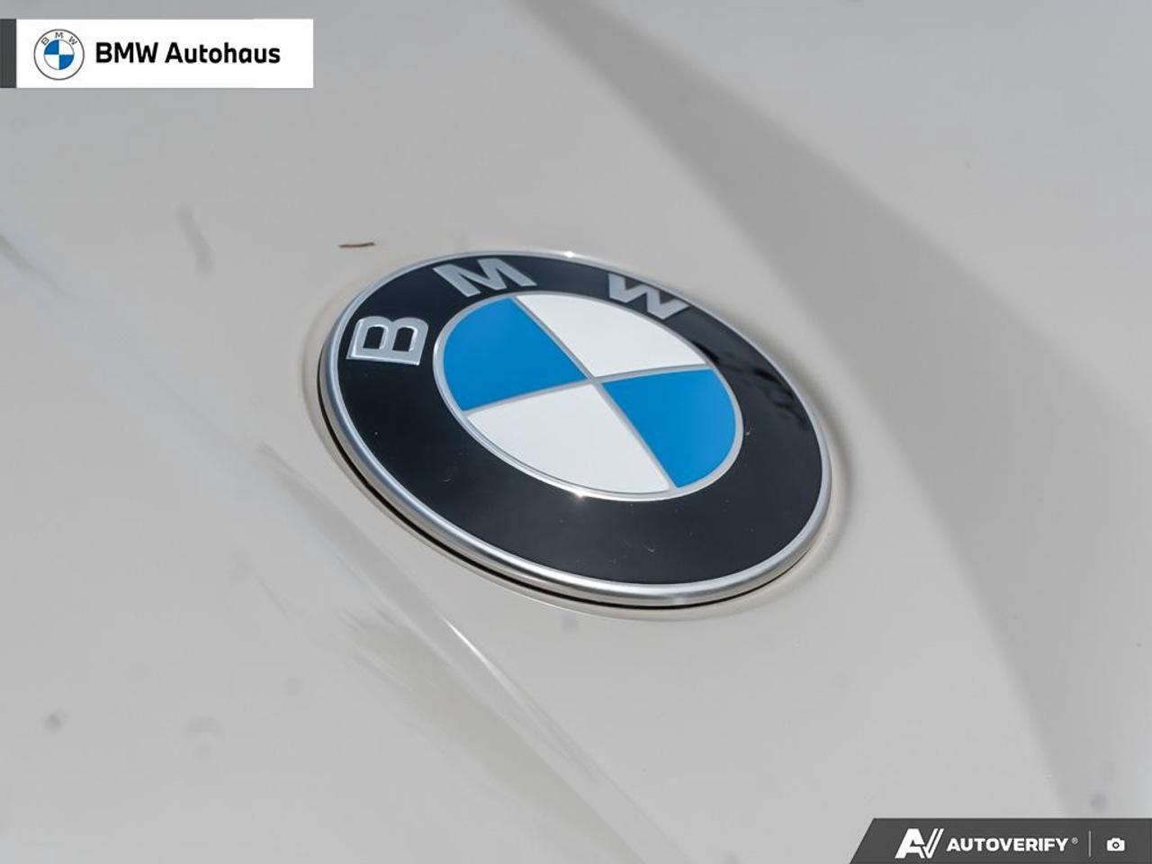 2026 BMW X3 Sports Activity Vehicle [53GP] Photo
