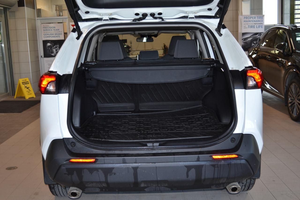 2025 Toyota RAV4 XLE Photo