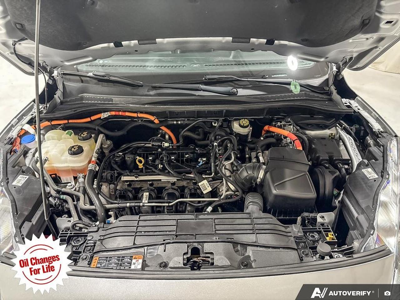 2021 Ford Escape Titanium Hybrid AWD Photo