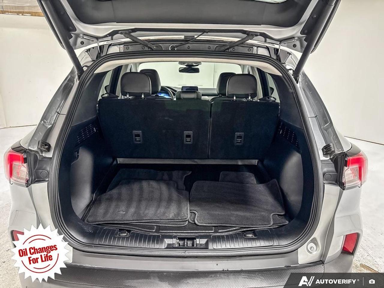 2021 Ford Escape Titanium Hybrid AWD Photo