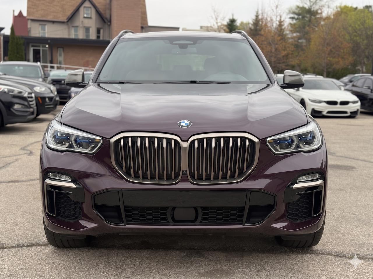 2020 BMW X5 M50i Photo
