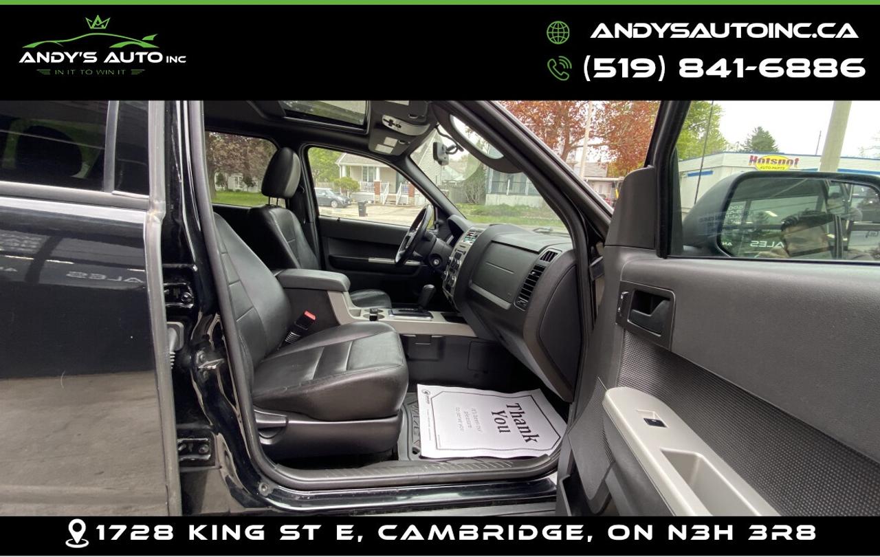 2010 Ford Escape XLT ! 4X4 ! NO ACCIDENTS ! V6 Photo