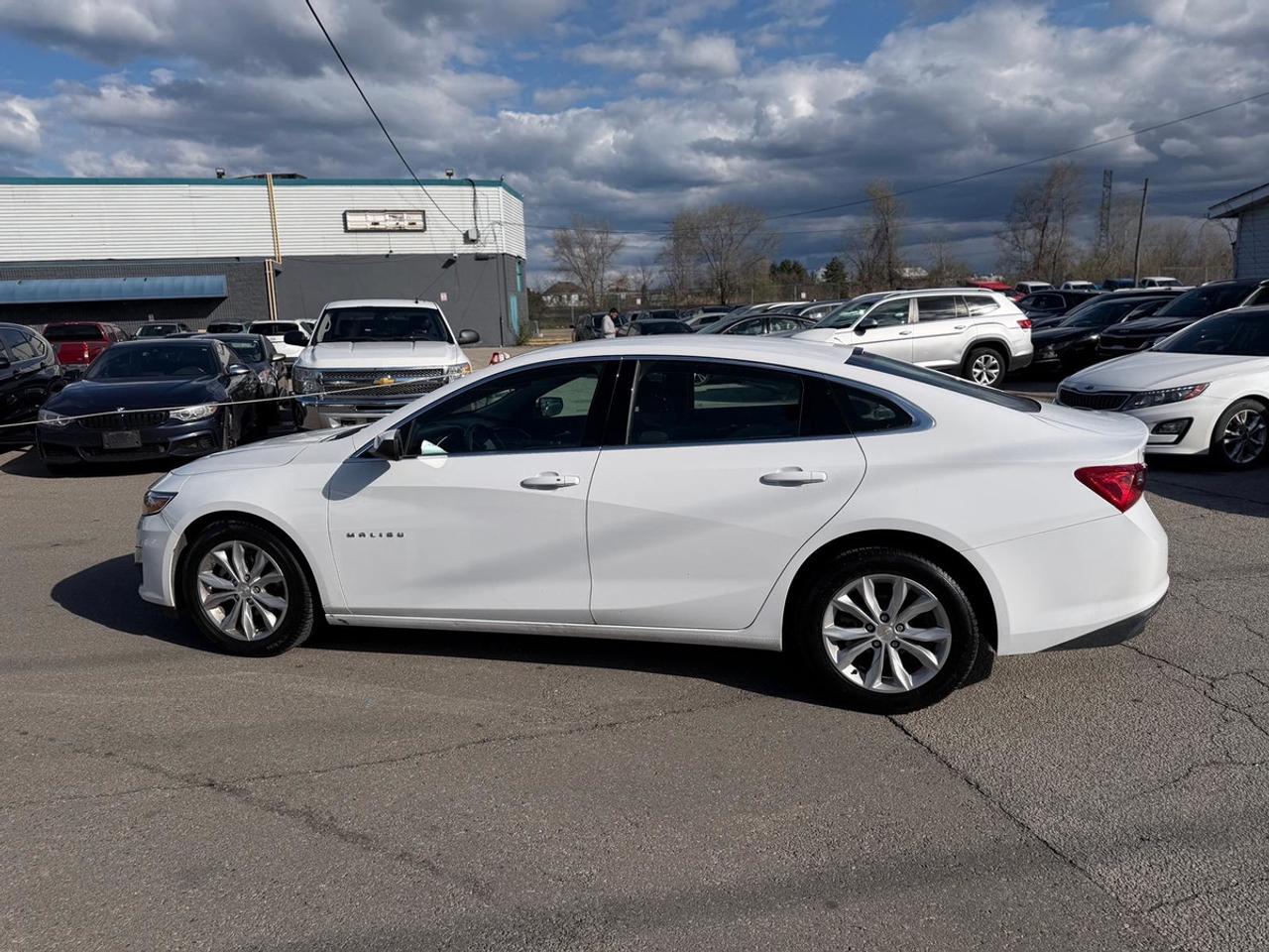 2024 Chevrolet Malibu 1LT Photo