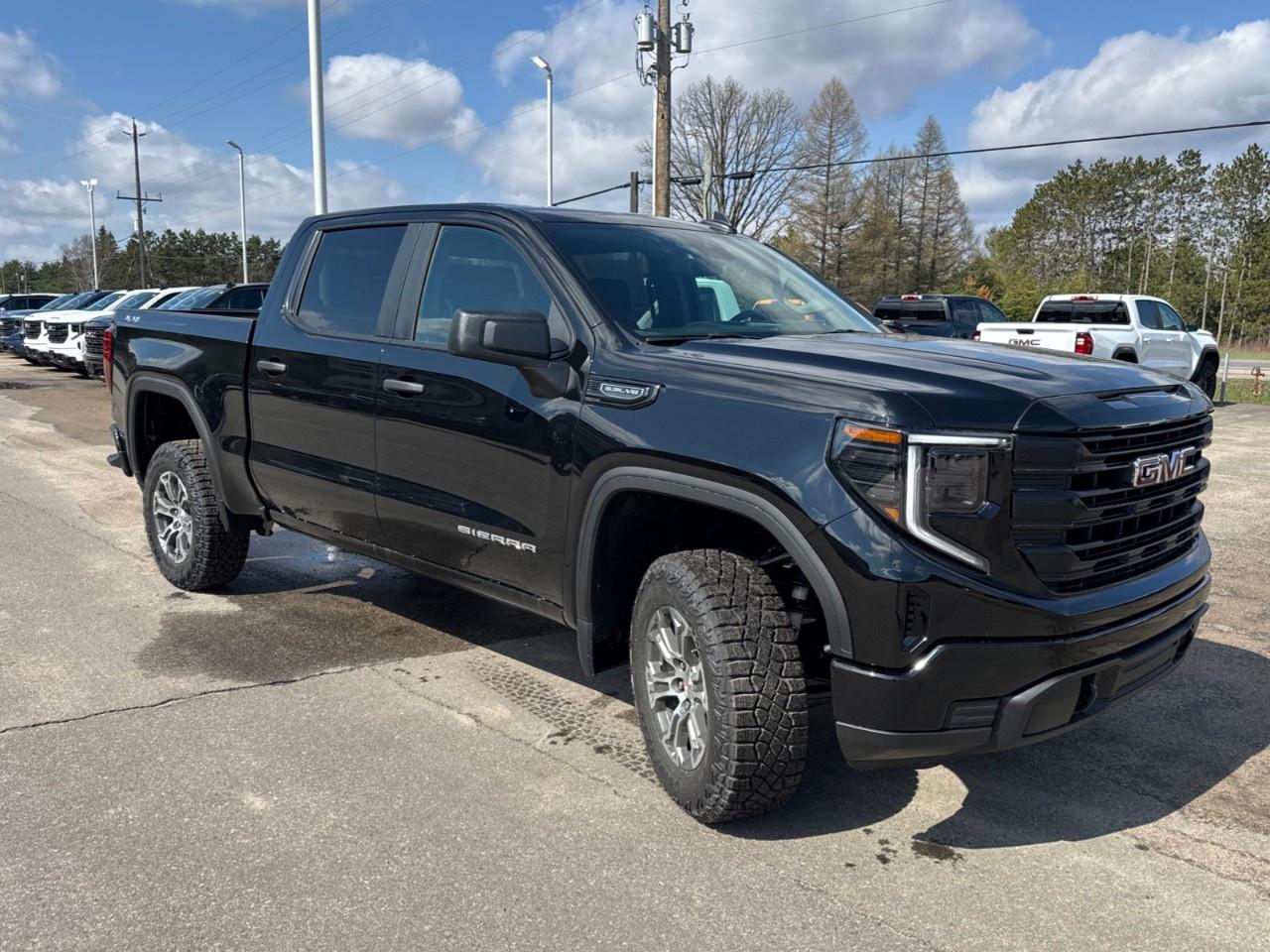 2026 GMC Sierra 1500 Crew Cab Short Box 4-Wheel Drive Pro Photo2
