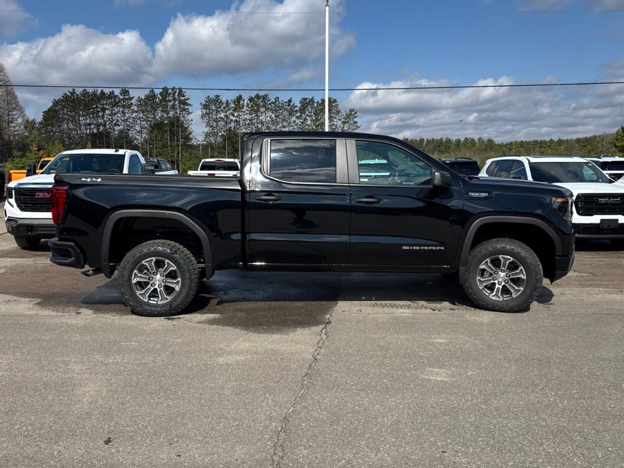 2026 GMC Sierra 1500 Crew Cab Short Box 4-Wheel Drive Pro Photo3