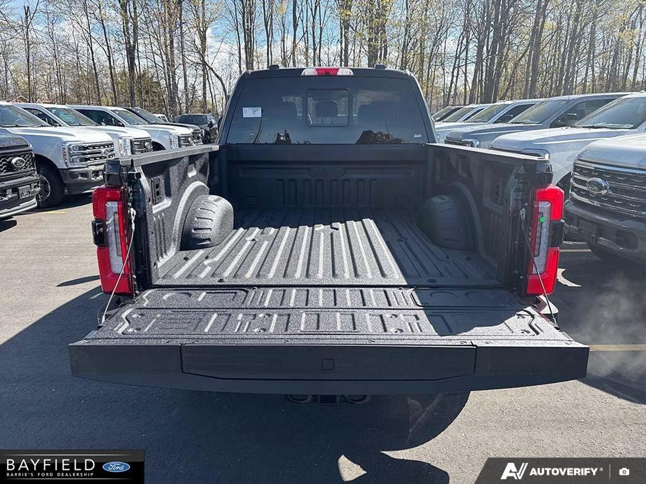 2026 Ford SUPER DUTY F-250 SRW Platinum 4WD Crew Cab 6.75' Box Photo