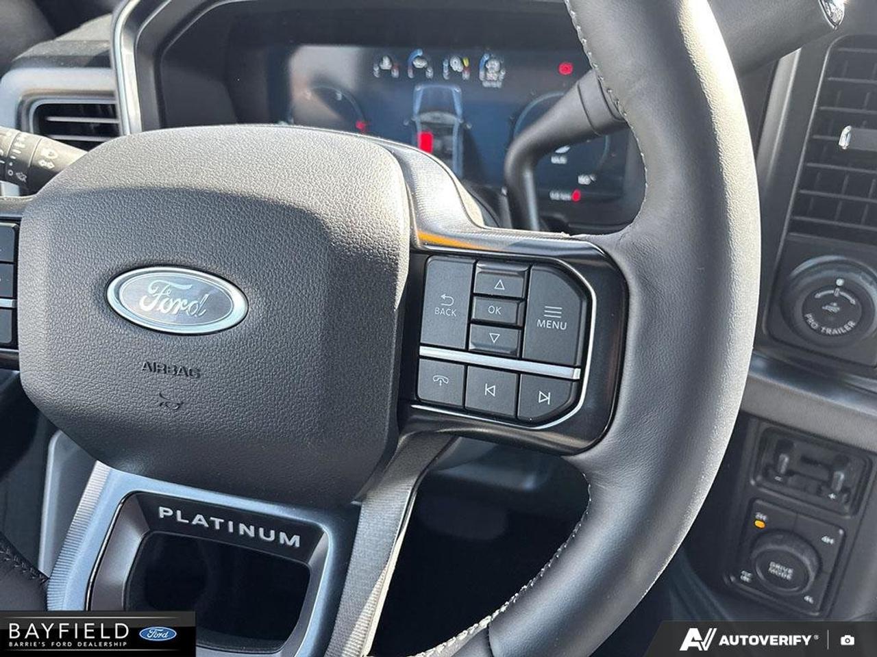 2026 Ford SUPER DUTY F-250 SRW Platinum 4WD Crew Cab 6.75' Box Photo