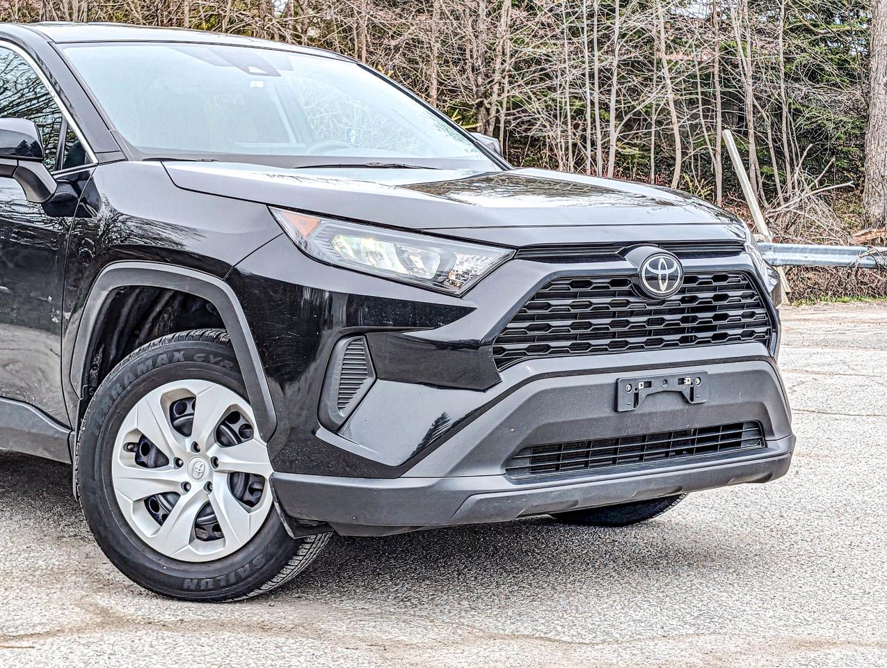 2024 Toyota RAV4 LE Photo