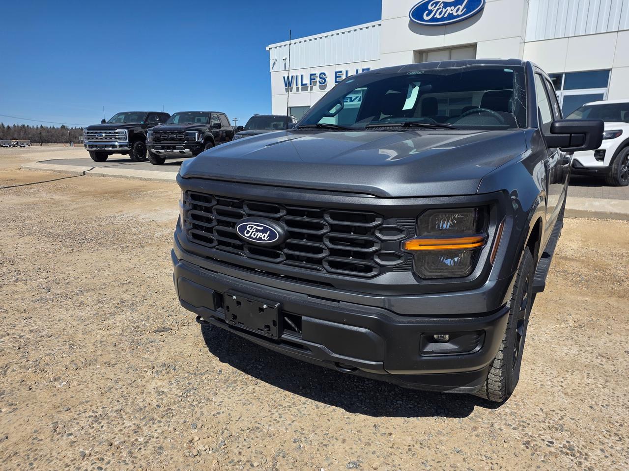 2025 Ford F-150 STX Photo5