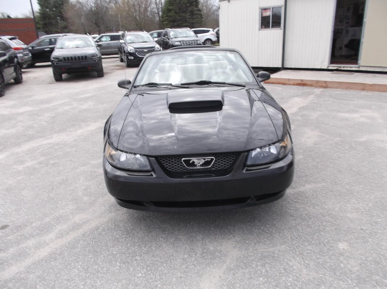 2003 Ford Mustang Convertible Photo1