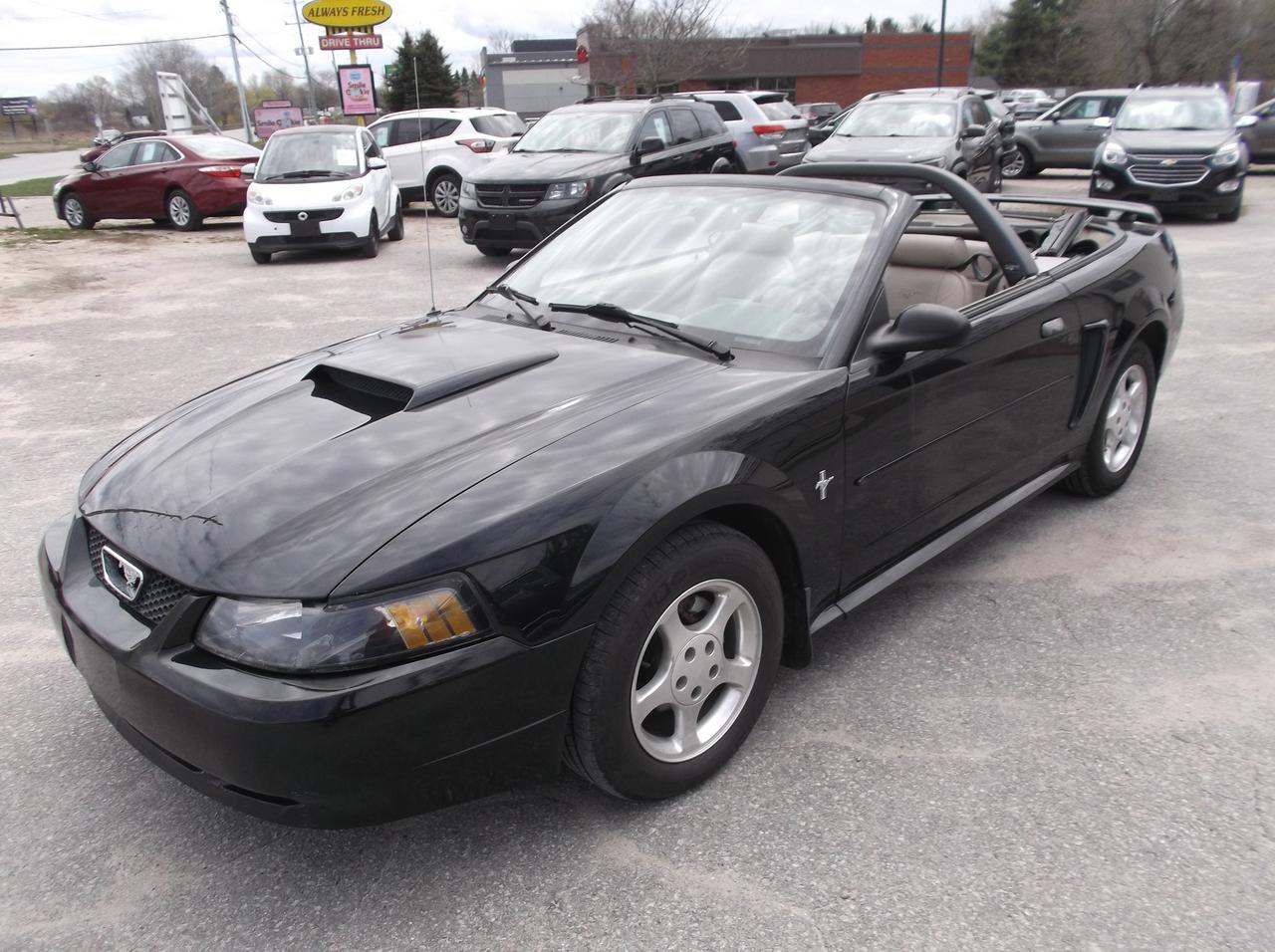 2003 Ford Mustang Convertible Photo2