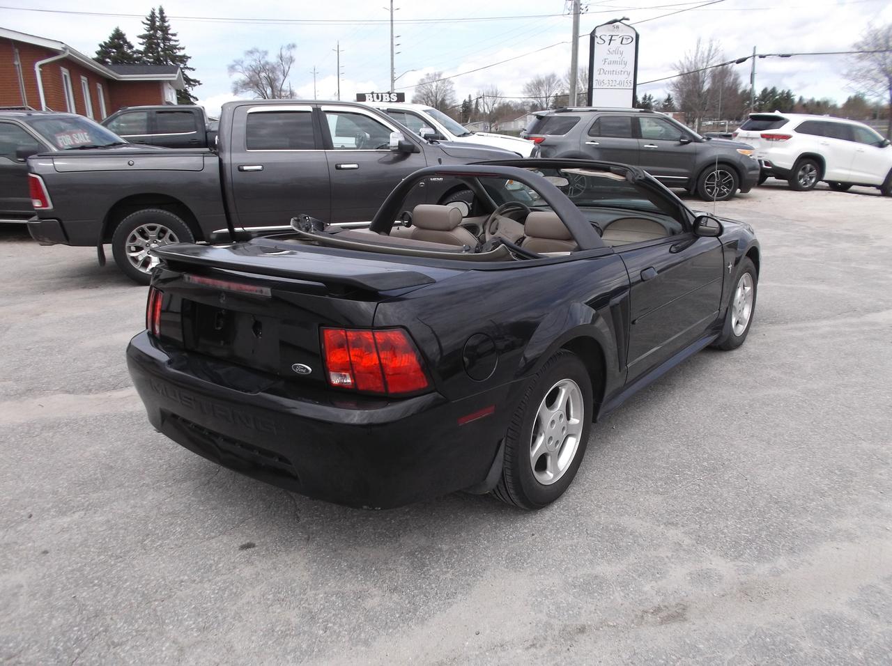 2003 Ford Mustang Convertible Photo4