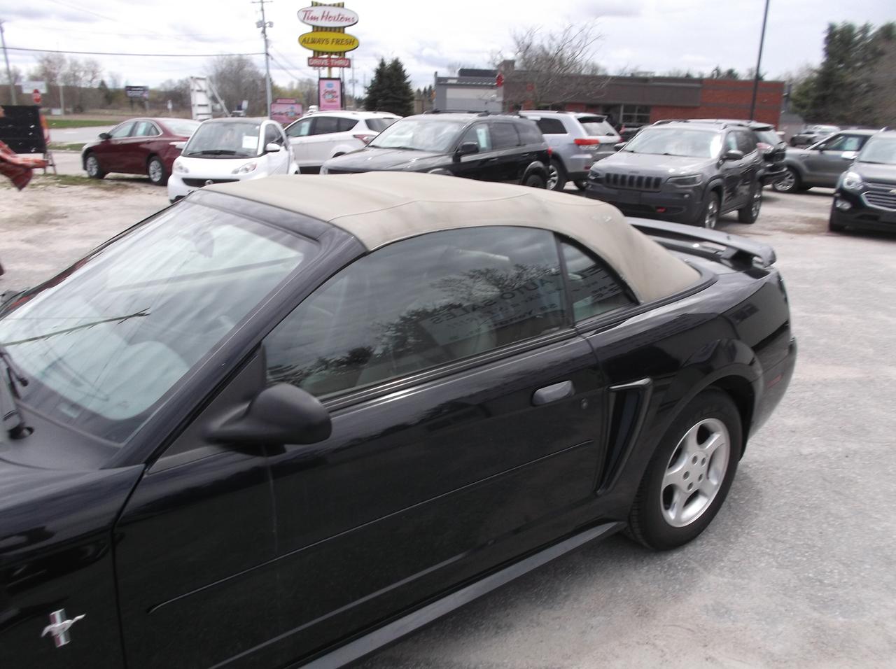 2003 Ford Mustang Convertible Photo