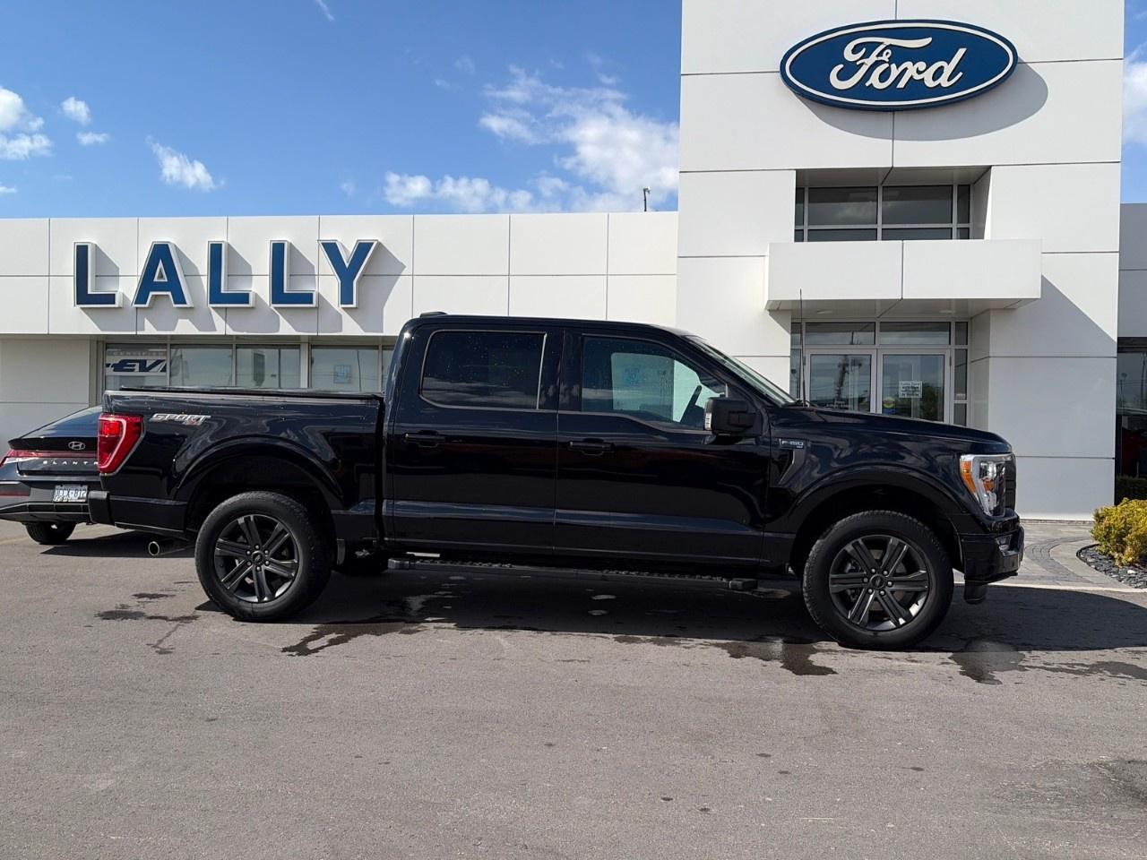 2023 Ford F-150 XLT 4WD SuperCrew 5.5' Box Photo