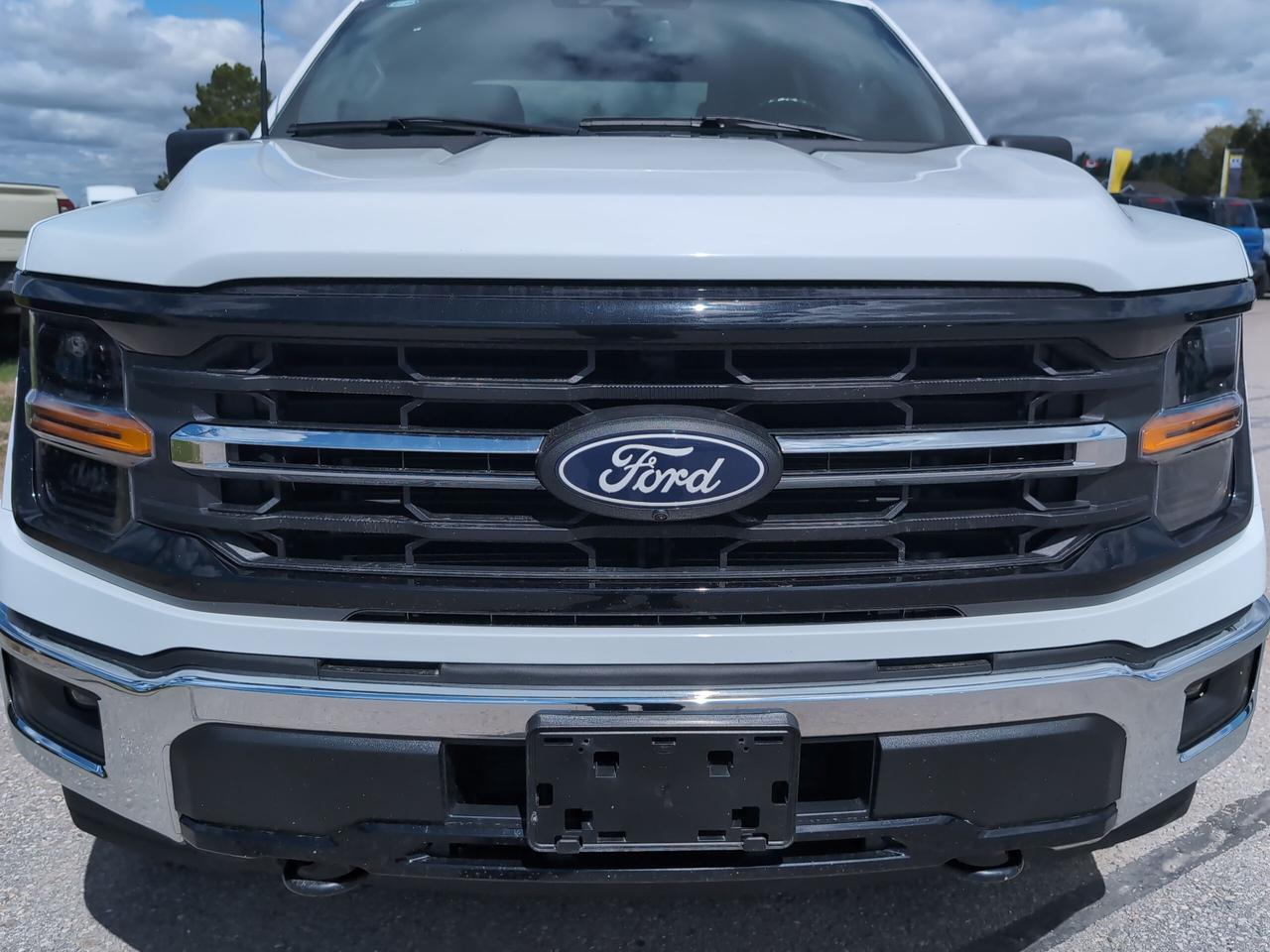 2024 Ford F-150 XLT 4WD SuperCrew 5.5' Box Photo