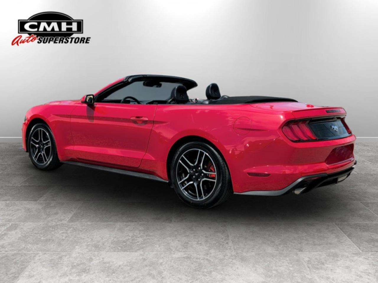 2023 Ford Mustang EcoBoost Premium  *LOW KMS - CLEAN CF* Photo