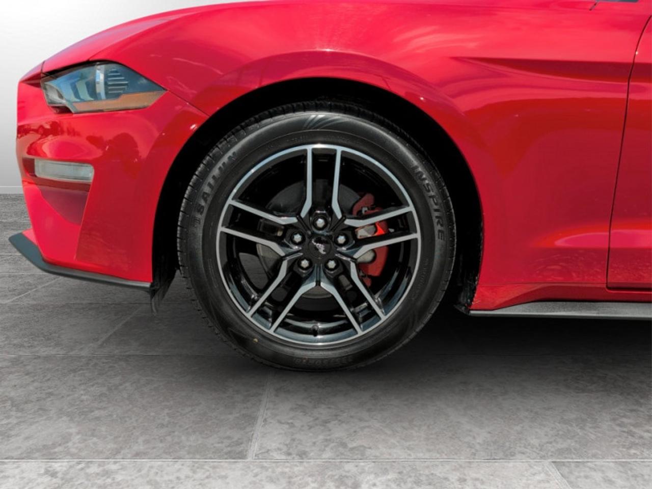 2023 Ford Mustang EcoBoost Premium  *LOW KMS - CLEAN CF* Photo