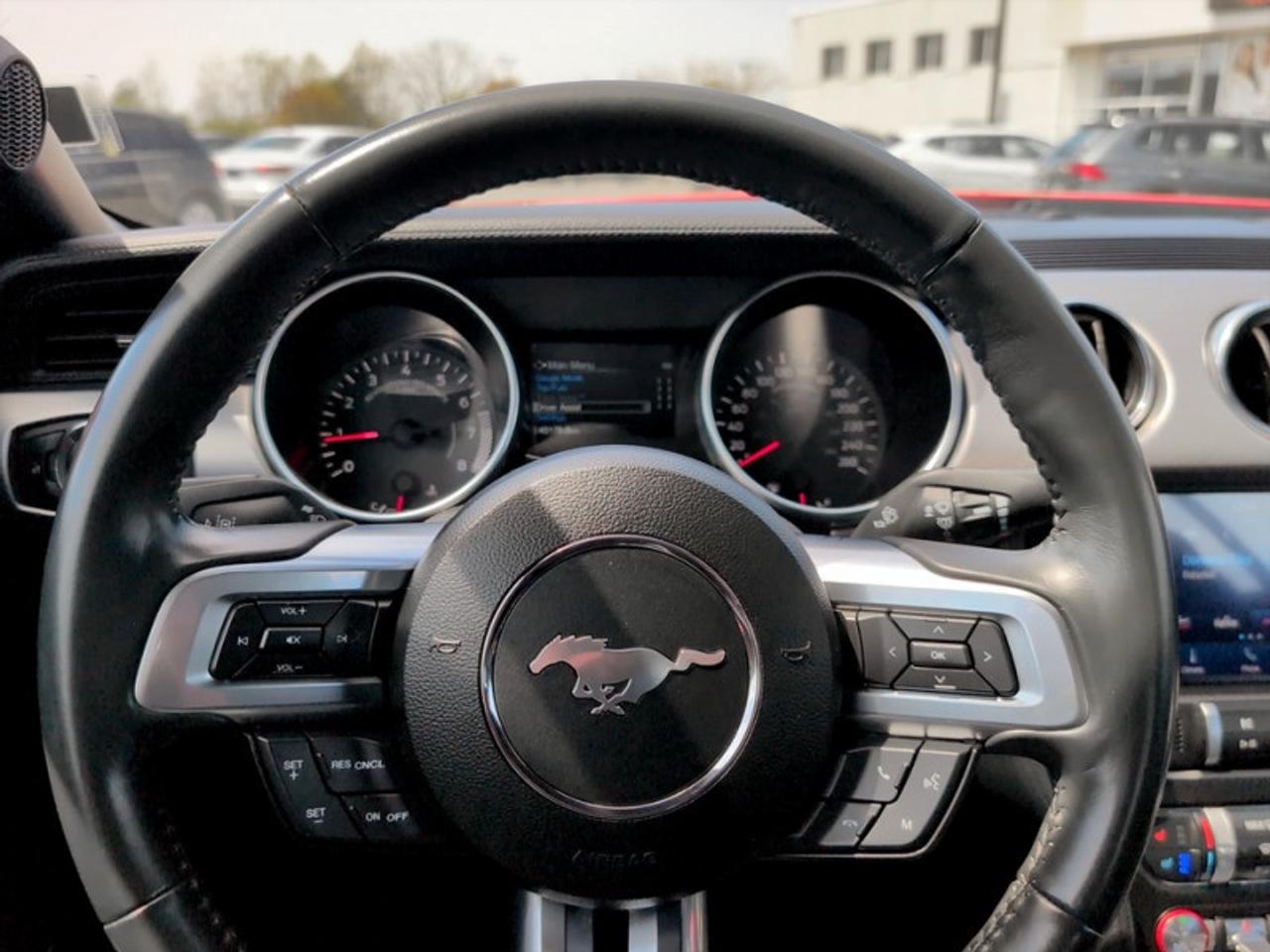 2023 Ford Mustang EcoBoost Premium  *LOW KMS - CLEAN CF* Photo