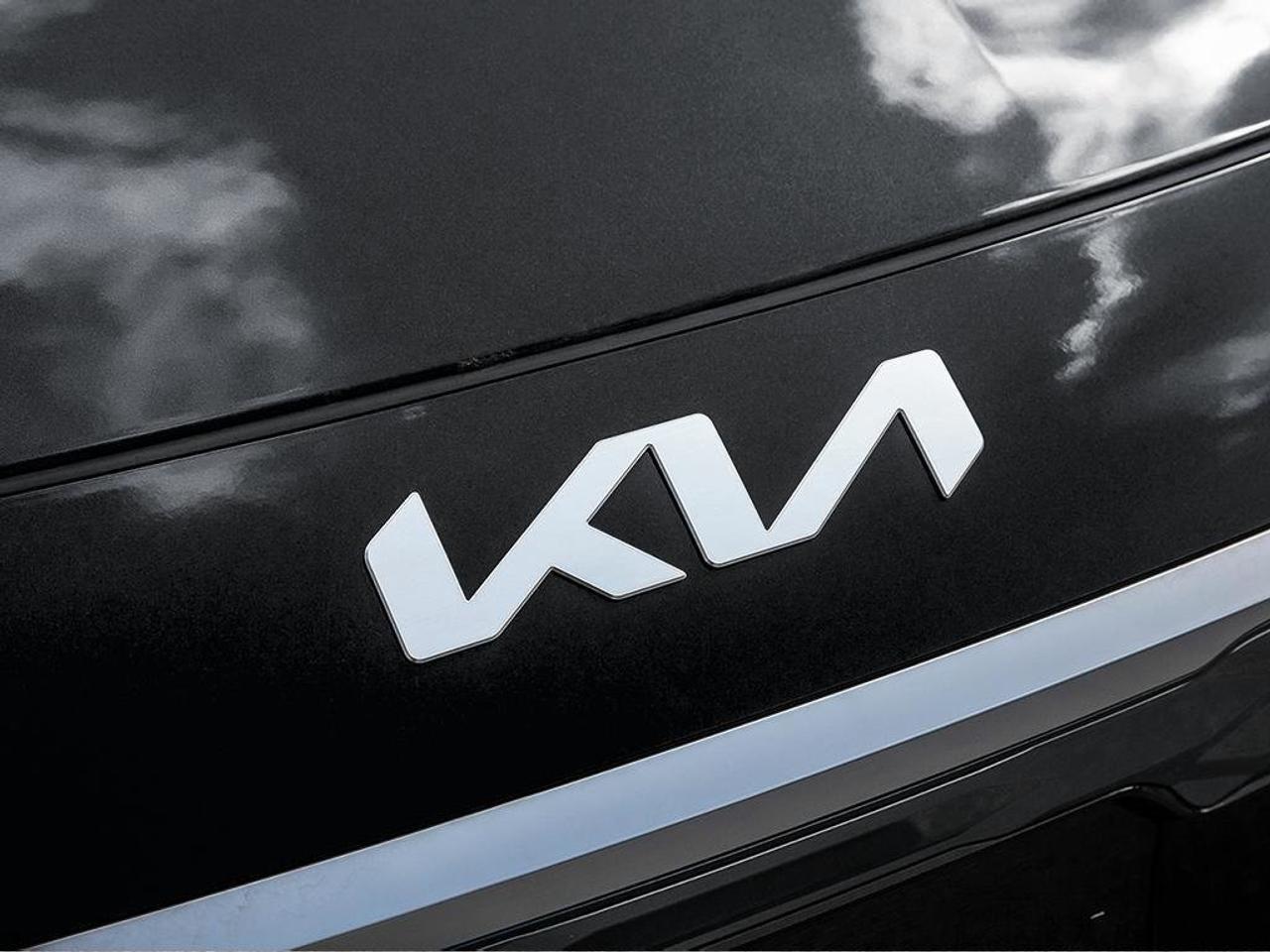 2026 Kia NIRO EV WAVE Photo