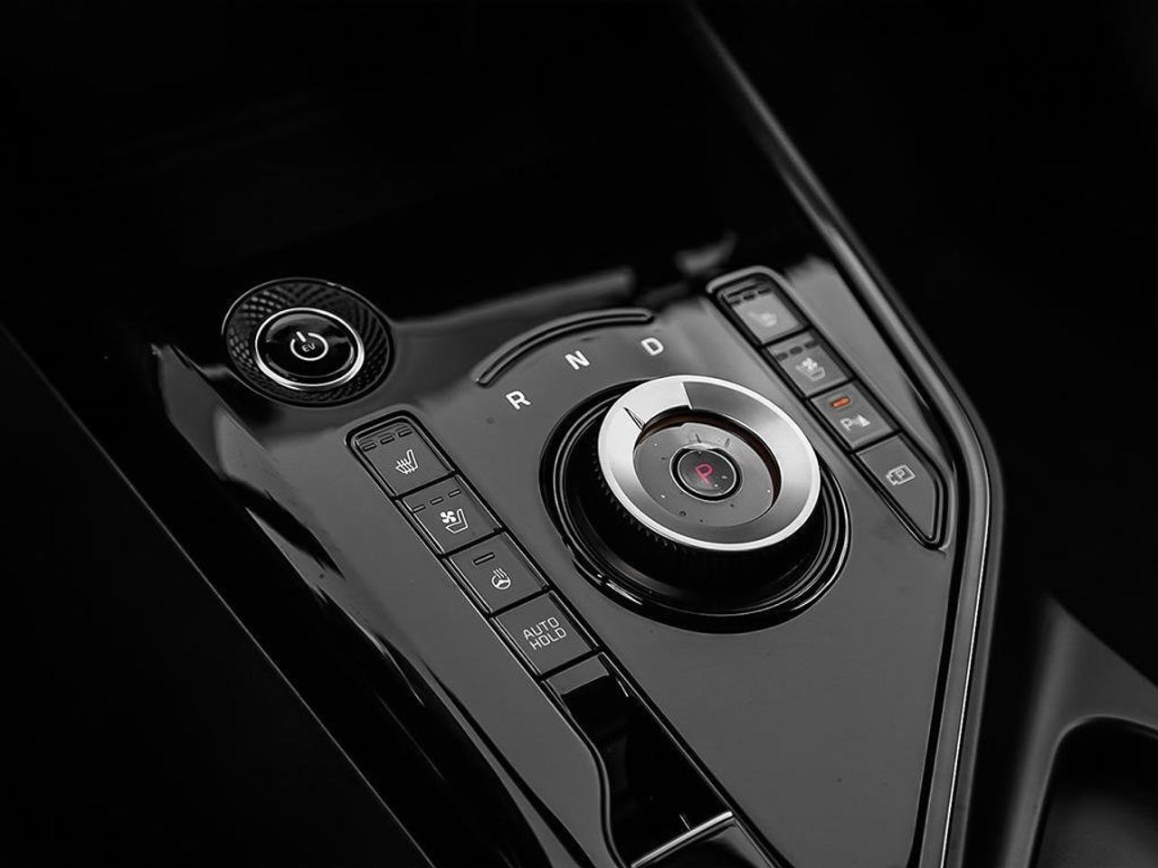 2026 Kia NIRO EV WAVE Photo