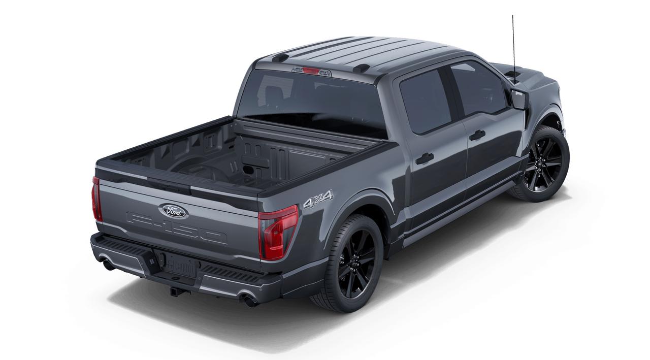 2025 Ford F-150 STX Photo2