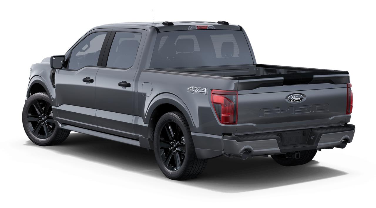 2025 Ford F-150 STX Photo1