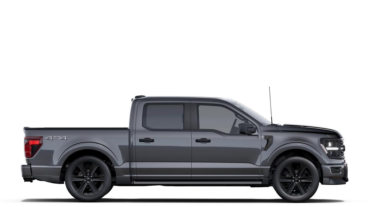 2025 Ford F-150 STX Photo4