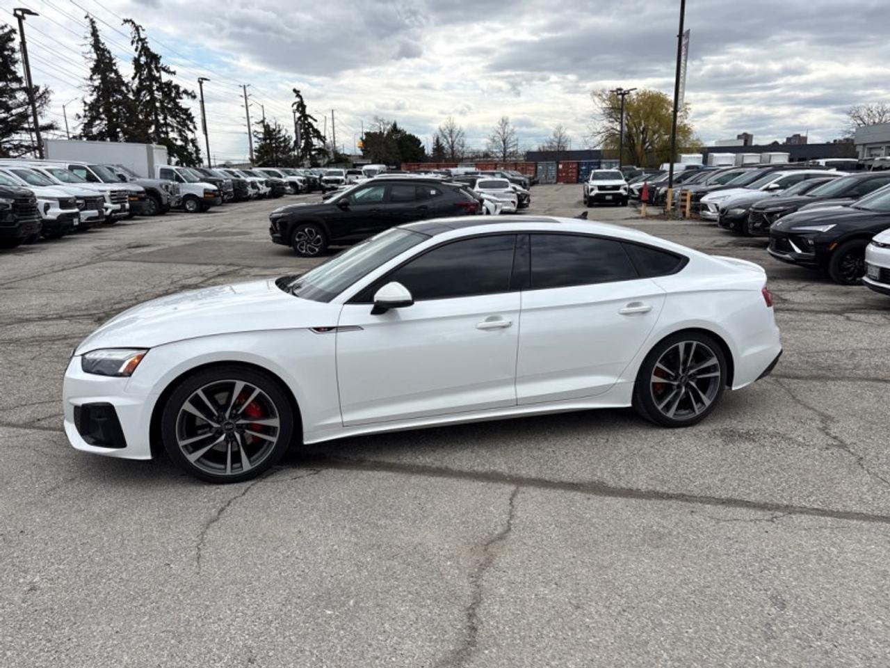 2022 Audi S5 Sportback Progressiv 3.0 TFSI quattro  SNOW TIRES INCLUDED! Photo