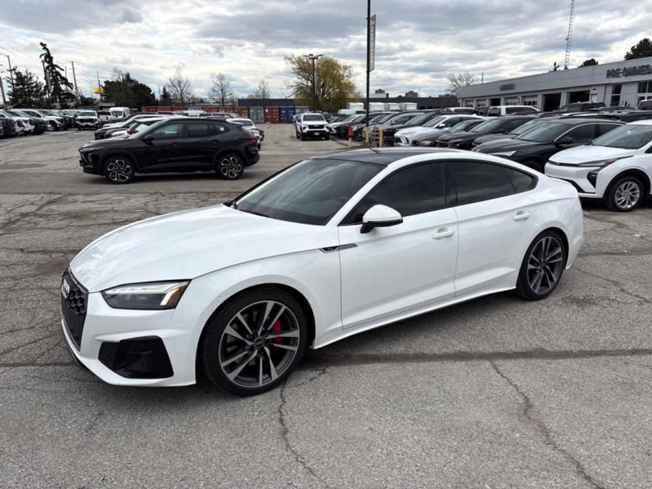 2022 Audi S5 Sportback Progressiv 3.0 TFSI quattro  SNOW TIRES INCLUDED! Photo