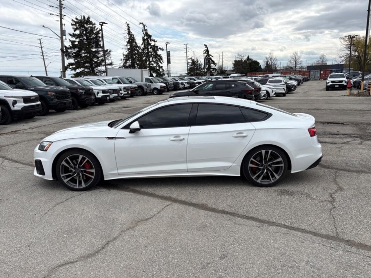 2022 Audi S5 Sportback Progressiv 3.0 TFSI quattro  SNOW TIRES INCLUDED! Photo