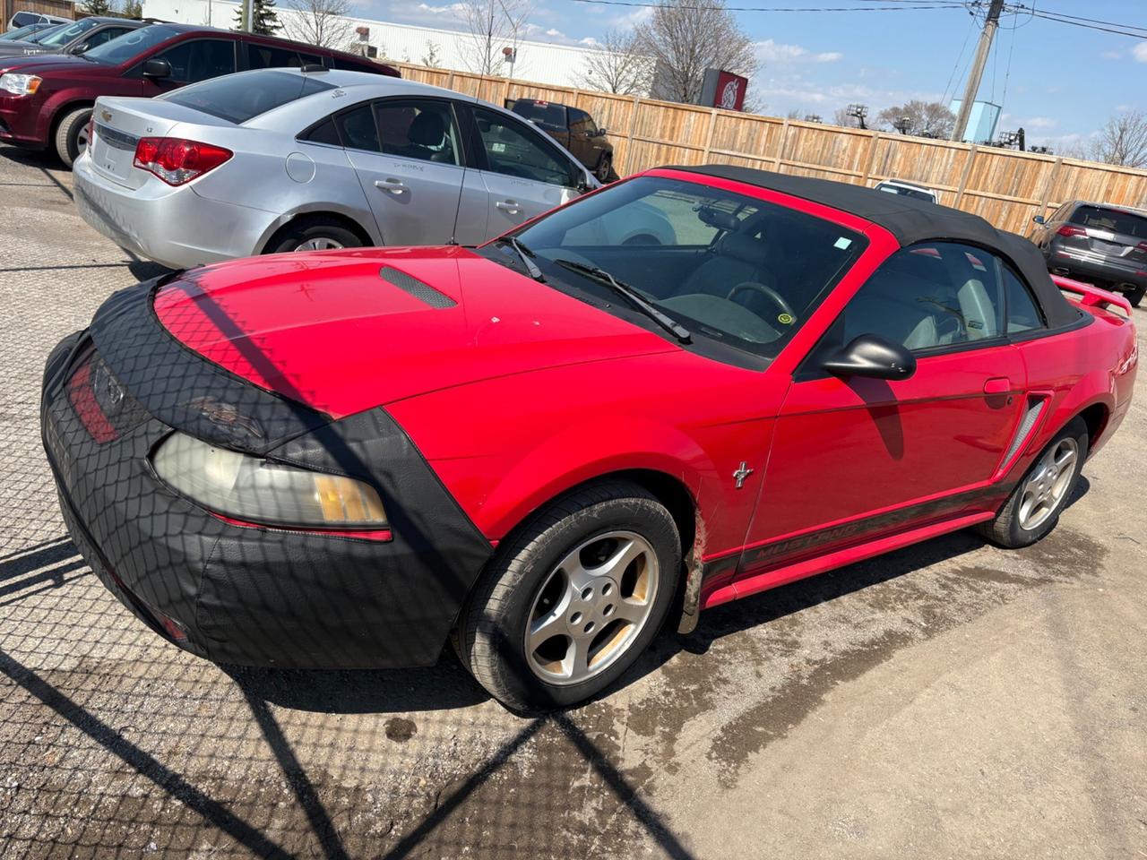 Used 2002 Ford Mustang Premium for sale in Ajax, ON