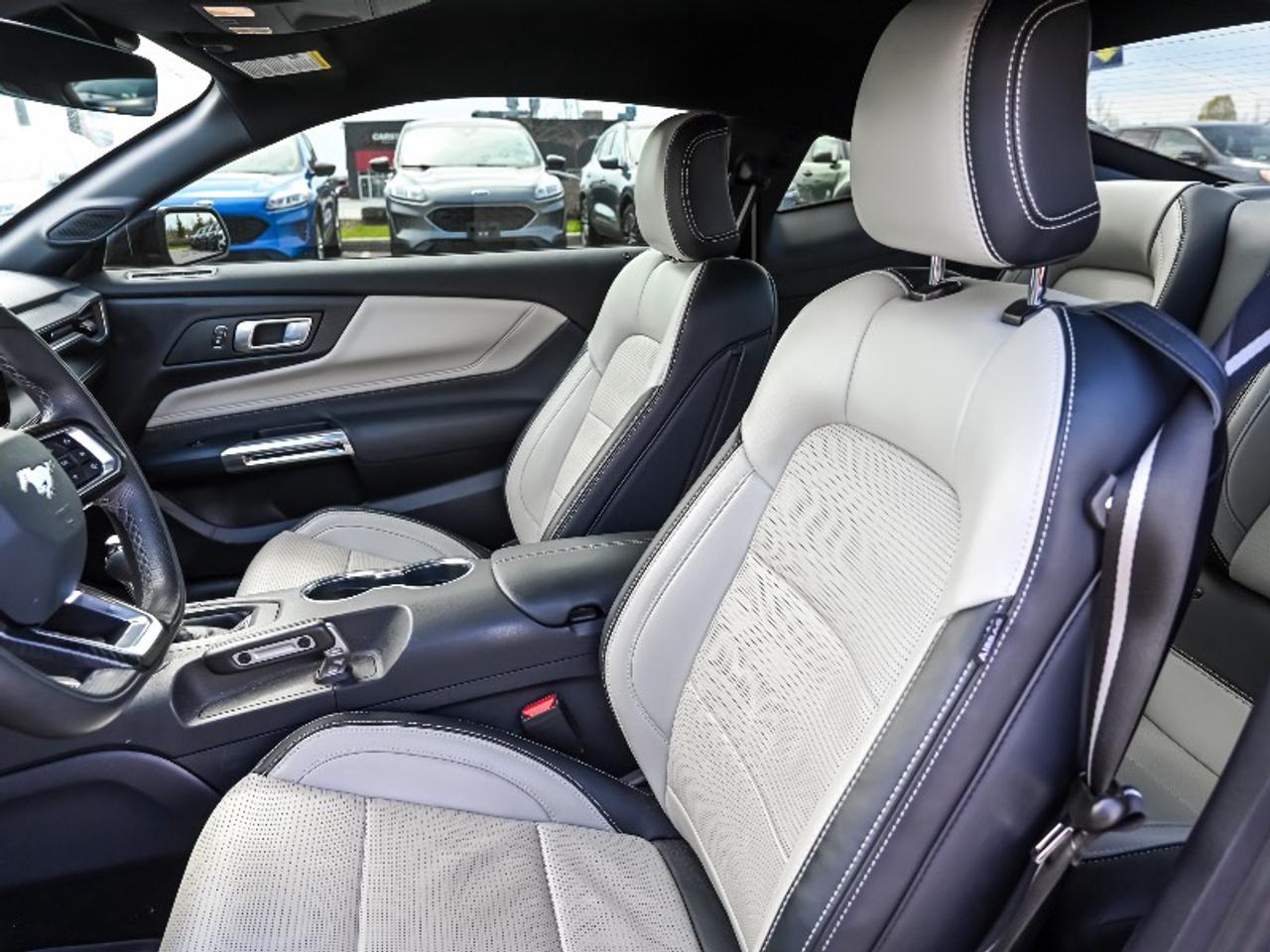 2025 Ford Mustang GT Premium Photo