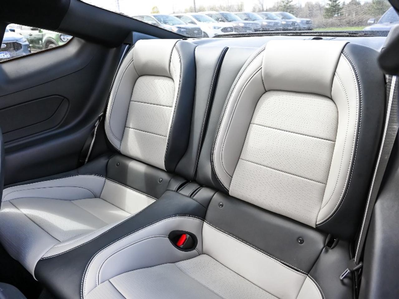 2025 Ford Mustang GT Premium Photo